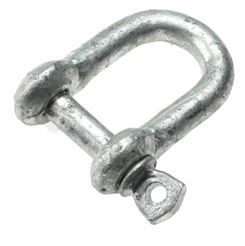 Galvanised D Shackle